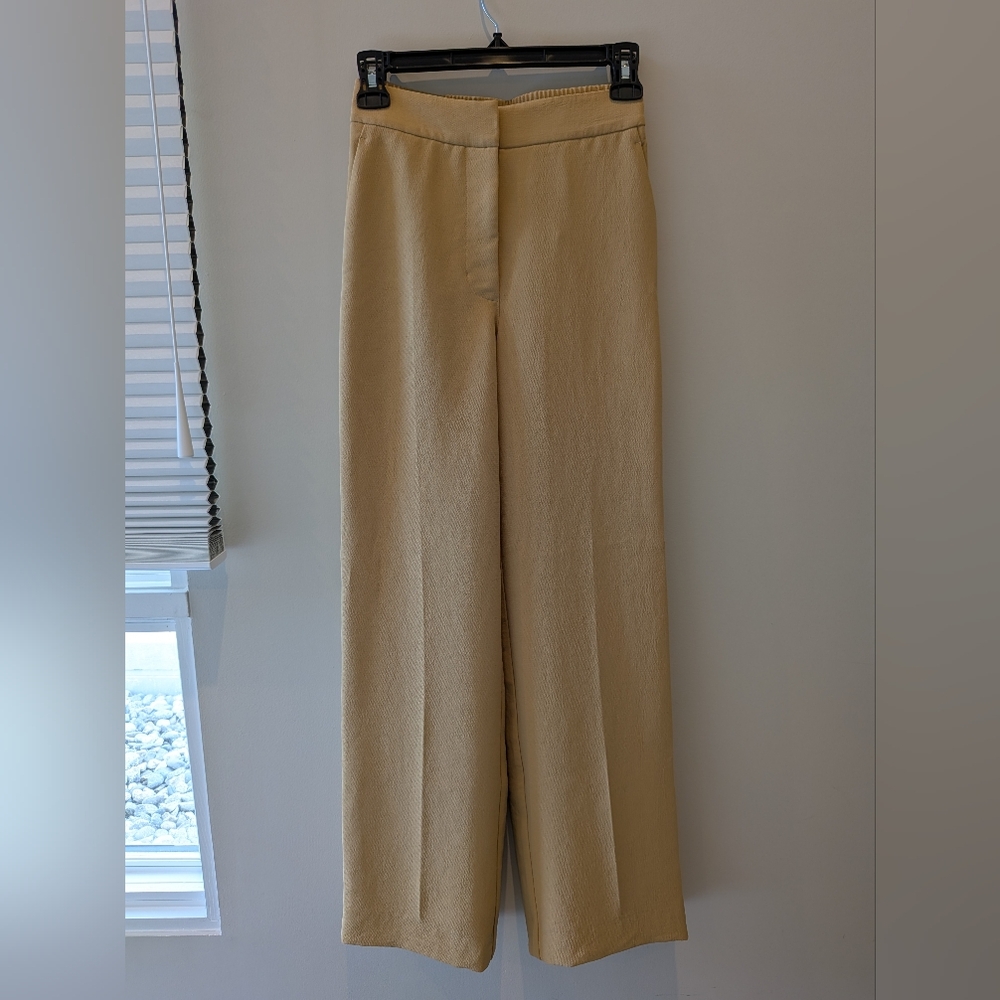 Aritzia High Waisted Japanese Crepe Trousers